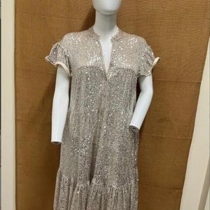 Elegant Silver Sequin Dress